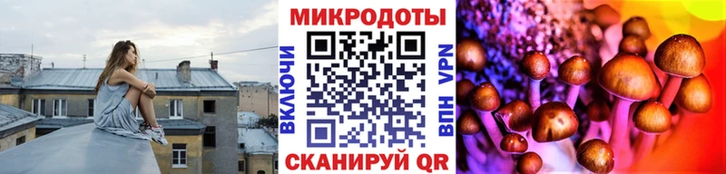 купить наркотик  Устюжна  Псилоцибиновые грибы GOLDEN TEACHER 